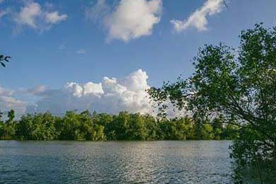 USAA Insurance: Reviews, Eligibility & What We Know