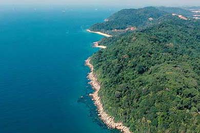 USAA Insurance: Reviews, Eligibility & What We Know