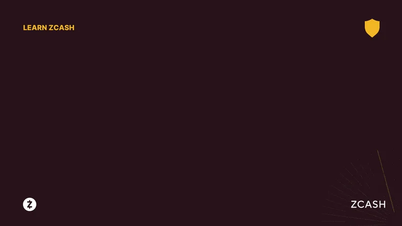 Zcash's Price Surge: What's Driving It and What Reddit Thinks